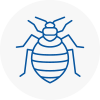 Bed Bug Extermination In Kidbrooke
