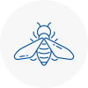 Bee Nest Removal Kidbrooke