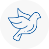 Bird Prevention Kidbrooke