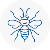 Kidbrooke Hornet Nest Removals