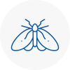 Moth Control Specialists In Kidbrooke