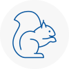 Kidbrooke Rodent Removals