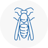 Kidbrooke Wasp Nest Removal
